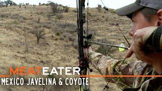 Skunk Pig Mexico Javelina & Coyote  S3E06  MeatEater