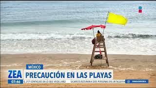 El significado de las banderas en las playas de México  Noticias con Francisco Zea