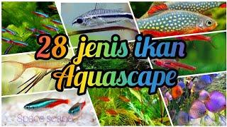 28 jenis ikan untuk aquascape