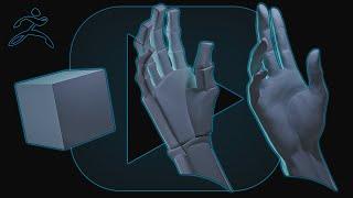 sculpting hand in ZBrush  скульптинг руки в ZBrush