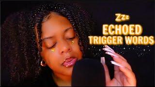 ASMR Echoed Trigger Words Hand Movements Mic Scratching Old School Tingles 