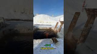 Ice bath at - 22•C YakustkRussia #shorts #short