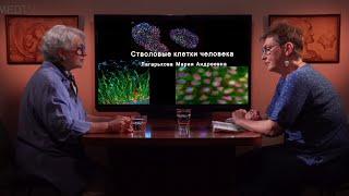 «Стволовые клетки человека». Гость Лагарькова М.А.