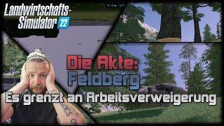 Die AKTE FELDBERG - Es grenzt an Arbeitsverweigerung 1.0.5.0 Ich liebe dieses Spiel  aber das ....