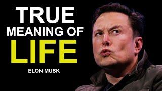 Elon Musk True Meaning Of Life To Me