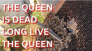 The queen is dead long live the queen