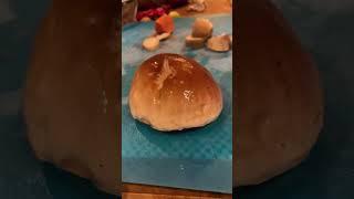 Foraging for and Cooking Porcini Mushroom Boletus edulis with Satisfying ASMR Tapping & Slicing