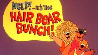 Help... Its the Hair Bear Bunch Intro