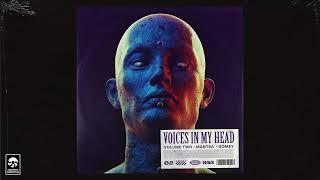 FREE Vocal Sample Pack  Vocal Chops Loop Kit Pop R&B Hip Hop  VOICES IN MY HEAD 2“