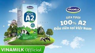 Quảng cáo Vinamilk - Sữa tươi 100% A2 đầu tiên tại Việt Nam