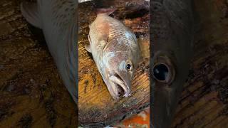 Fast Fish Cutting #fishcutting_skills #srilanka #youtubeshorts