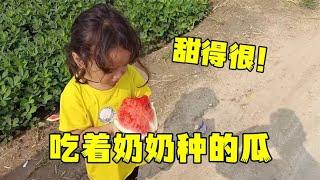 中巴混血在中國農村，跟著奶奶下地摘西瓜：太甜了，真好吃！