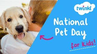  National Pet Day for Kids  11 April  Popular Pets in the United States  Twinkl USA
