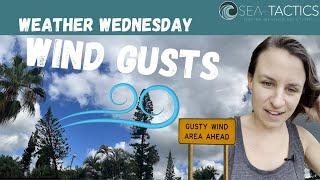 Wind Gusts #WeatherWednesday