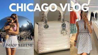 LUXURY CHICAGO SHOPPING VLOG  HERMÉS CHANEL SAKS DIOR THE REAL REAL MICHIGAN AVE