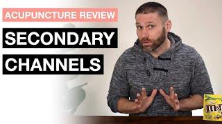 THE SECONDARY CHANNELS  Acupuncture Channels and Points