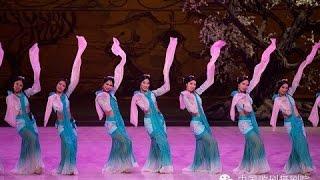 Beautiful Chinese Classical Dance【5】《采薇舞》A-1080p