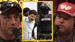 JRE How DANGEROUS Are Mexican Cartels?