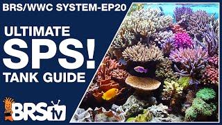 Ep20 The only SPS reef tank setup guide youll ever need - The BRSWWC System