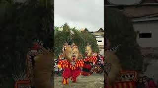 Kemegahan Pementasan Reog Ponorogo #jalanjalan #walkingvideo #kesenian