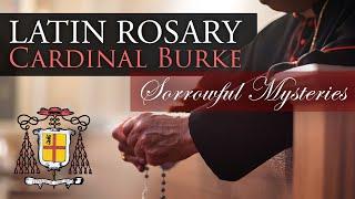 Pray the Rosary in Latin with Cardinal Burke Sorrowful Mysteries