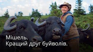Michel and his Carpathian Buffaloes · Ukraїner