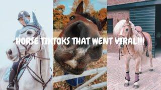 HORSE TIKTOKS THAT WENT VIRAL