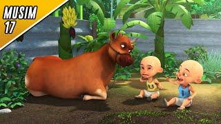 Upin & Ipin Musim 17 Full Movie - Dikejar Sapi Uncle Muthu  Upin Ipin Terbaru 2024