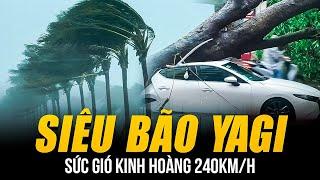 TOÀN CẢNH SIÊU BÃO YAGI TÀN PHÁ HÃI HÙNG SỨC GIÓ KINH HOÀNG 240KMH HÀ NỘI CÂY ĐỔ 1 NGƯỜI T.Ử VONG