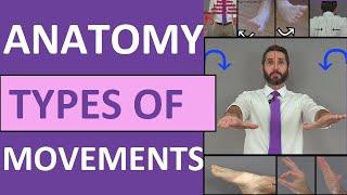 Body Movement Terms Anatomy  Body Planes of Motion  Synovial Joint Movement Terminology