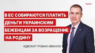 В ЕС собираются платить деньги украинским беженцам за возращение на родину