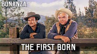 Bonanza - The First Born  Episode 101  BEST WESTERN SERIES  Cowboy  English