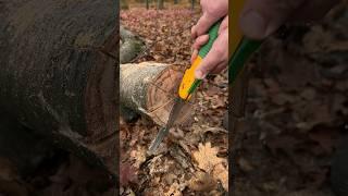 Survival Skills Swedish FIRE  with a Hand SAW. #survival #camping #lifehacks #fire