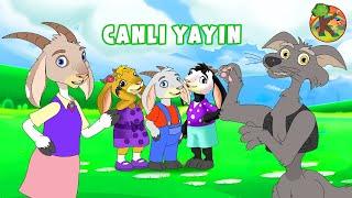 Türkçe - Çizgi Film & Çocuk Masalları - CANLI YAYIN  KONDOSAN