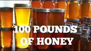 Honey Harvest Time   S3 E14