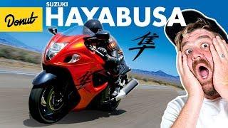 SUZUKI HAYABUSA - Everything You Need to Know  Up to Speed