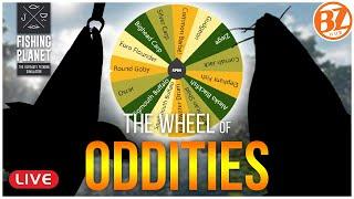 THE WHEEL OF ODDITIES Can we Survive? l Fishing planet LIVE