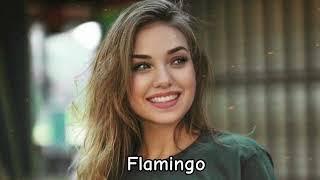 Akmalov - Flamingo Original Mix