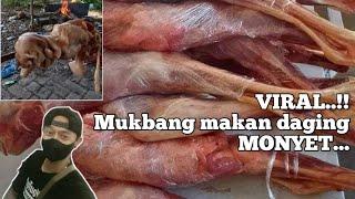 VIRAL..mukbang makan daging monyet.