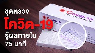 ชุดตรวจ COVID-19 ด้วยเทคนิคแลมป์เปลี่ยนสีในขั้นตอนเดียว  คลิป MU Mahidol Channel