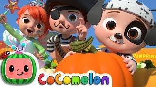 Pumpkin Patch - Fall Halloween Song  CoCoMelon Nursery Rhymes & Kids Songs