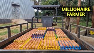 How I Feed my Chickens to Produce Millions of Eggs