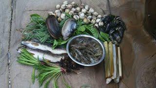 A  Perfect Summers Day Catch &Cook - Breakfast Lunch and Dinner- Wild Food Foraging