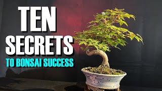 TEN SECRETS to Bonsai Success for Beginners