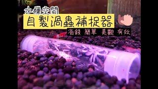 渦蟲補捉器DIY 簡單  快速 省錢 有效 美觀