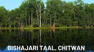 bishajari taal chitwanlake 20000 chitwankumal taal chitwantikauli taal chitwan