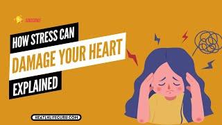 How Everyday Stress Can Damage Your Heart