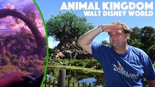 Animal Kingdom Walt Disney World - Beste attractie ter wereld - Pandora World of Avatar - Orlando
