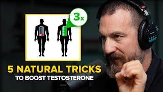 Neuroscientist TRIPLE Your Testosterone Levels  Andrew Huberman