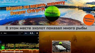 Проверка показаний эхолота Deeper CHIRP+ Правду ли показывает эхолот что в этом месте много рыбы?